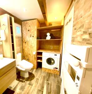 a bathroom with a toilet and a washing machine at Evergreen -Ocean and Spa- in Parentis-en-Born
