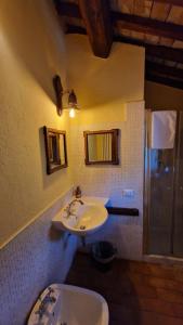 a bathroom with a sink and a toilet at L'Ottava Goccia Country House in Tolfa
