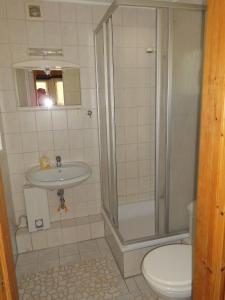 a bathroom with a shower and a sink and a toilet at Ferienbungalow Fleesensee in Malchow