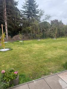 Vườn quanh Ruhiges Apartment nähe Lübeck - Ostsee +6 ảnh