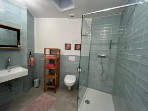 a bathroom with a shower and a toilet and a sink at Ferienhaus Mauseloch in Kaub