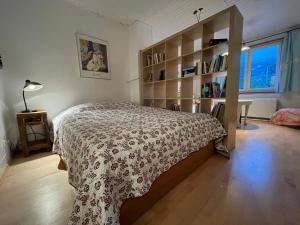 een slaapkamer met een bed en een boekenplank bij Ferienhaus Mauseloch in Kaub