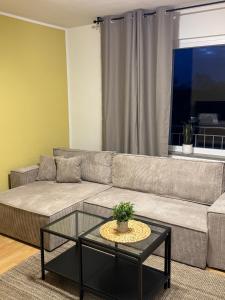 Posezení v ubytování Quartier VierGlück + 5 fotografií