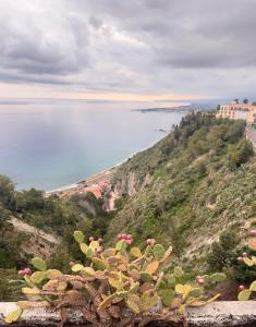 Naturlandskabet i nærheden af den private indkvartering