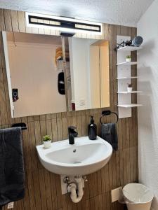 een badkamer met een witte wastafel en een spiegel bij Bijou Mosen in Hitzkirch +19 foto's