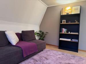 a living room with a couch and a book shelf at Bijou Mosen in Hitzkirch