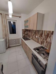 una cucina con fornelli e lavello di Ely Renting a Văleni