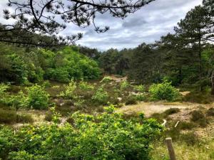 Phong cảnh thiên nhiên gần căn hộ +29 ảnh