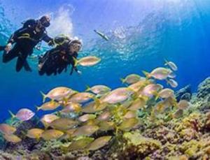 Gæster der bor på Bonito apart sea view playa jardin