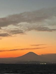 Природа в окрестностях апартаментов/квартиры