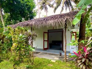 Zahrada ubytování Bird garden Midigama