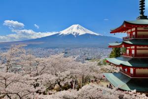 Příroda nedaleko prázdninového domu