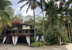 a house in the middle of some palm trees at Pousada Quintal Verde in Guabiruba
