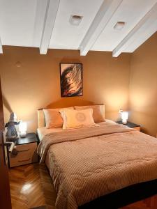 een slaapkamer met een bed en twee nachtkastjes met lampen bij TopHill Villa in Kratovo +14 foto's