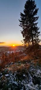 Ein Baum auf einem Hügel mit Sonnenuntergang im Hintergrund in der Unterkunft Premium Apartment Wohlfühl-Oase mit Pool und Sauna in Sankt Englmar