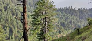 Phong cảnh thiên nhiên gần nhà nghỉ trang trại +42 ảnh