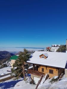 Природа в окрестностях апартаментов/квартиры