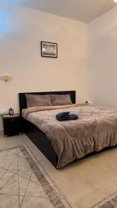 a bed in a bedroom with a picture on the wall at Qantab village apartment in Muscat