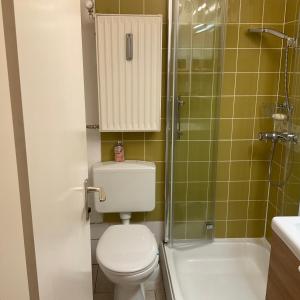 een kleine badkamer met toilet en douche bij Apartment Geigelsteinstrasse in Schleching +28 foto's