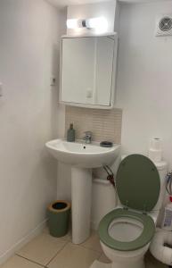 Chambre avec SDB privé في مونبلييه: حمام به مرحاض أخضر ومغسلة +4 صور