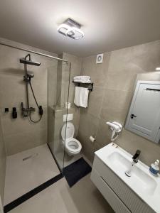 a bathroom with a shower and a toilet and a sink at Golden Sky Residence in Satu Mare +37 photos
