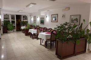 Restavracija oz. druge možnosti za prehrano v nastanitvi Vila Lux Milikic