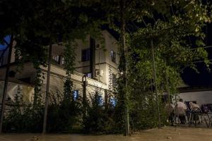 Vrt pred nastanitvijo Vila Lux Milikic