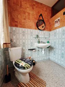 a bathroom with a toilet and a sink at Gîte avec sauna in Soucht +47 photos