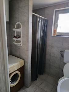 a bathroom with a toilet and a shower at PAR in Donje Mladice +18 photos