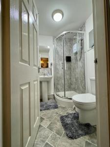 ein Badezimmer mit Dusche, Toilette und Waschbecken in der Unterkunft Luxury Studio Apartment Birmingham in Birmingham