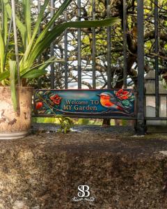 Vườn quanh Casa tranquila com jardim, o refúgio ideal para abrandar +37 ảnh