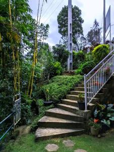 een trap met potplanten erop bij Stream Inn Haputale in Haputale