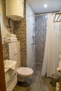 ein Badezimmer mit Toilette und Dusche in der Unterkunft Apartments Mont Jahorina in Jahorina