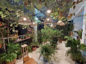 En have udenfor Alleyhomestay- Trần Đại Nghĩa