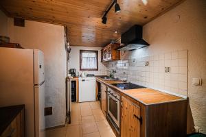 a kitchen with a refrigerator and a stove top oven at Traditional Slovenian House Pr'Belej in Zgornje Gorje