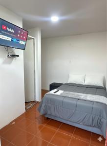 een slaapkamer met een bed en een flatscreen-tv bij Monaco - Habitacion Mollendo in Inclán
