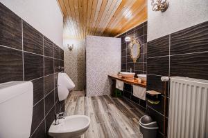 a bathroom with a sink and a toilet in it at Traditional Slovenian House Pr'Belej in Zgornje Gorje