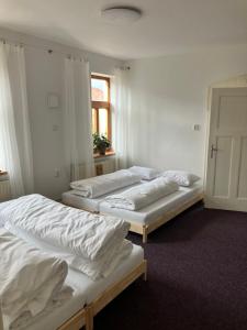 Fotografie z fotogalerie ubytování Apartmán U Kulichů v destinaci Smržovka