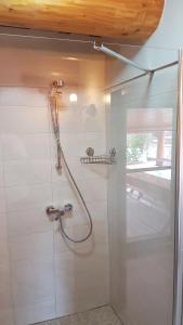 a shower with a glass door in a bathroom at Wolf's House in Gura Rîului +54 photos