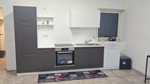 Kuchyň nebo kuchyňský kout v ubytování Urlaub am Rhein Speyer Hockenheim Mannheim