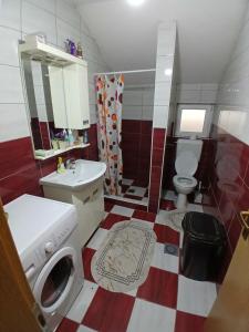 Vannituba majutusasutuses Pašić Apartman