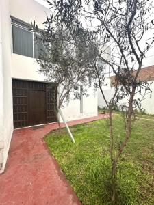 een boom voor een huis met een gebouw bij Urubamba in San Antonio +9 foto's