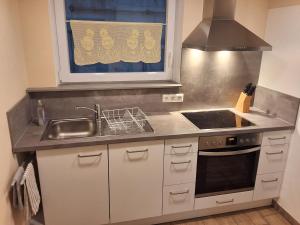 a kitchen with a sink and a stove at Ferienwohnung Paula in Lichtenstein +8 photos