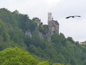 a bird flying in front of a castle on a mountain at Ferienwohnung Paula in Lichtenstein
