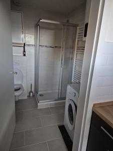 une salle de bain avec douche et machine à laver dans l'établissement Haus an der Dorfteichstraße, à Alt Krenzlin
