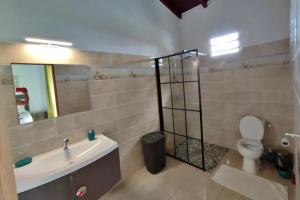 a bathroom with a sink and a toilet and a mirror at Studio moderne près de Capesterre-Belle-Eau avec piscine in Capesterre-Belle-Eau +7 photos
