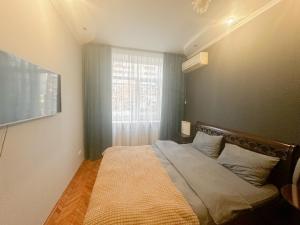 um quarto com uma cama grande com janela em Central City Puskin Street em Chişinău