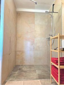 a bathroom with a shower with a glass door at Apartment am Egghof Deluxe in Oberperfuss