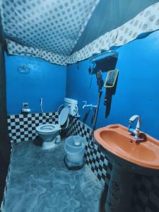 Et badeværelse på back 2 bachpan adventure camps