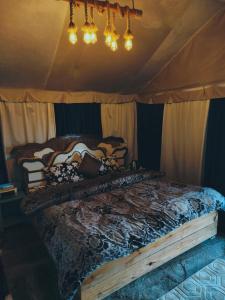 En eller flere senge i et værelse på back 2 bachpan adventure camps